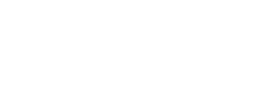 Levisons Light Logo
